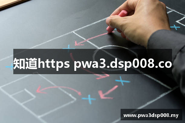 知道https pwa3.dsp008.co